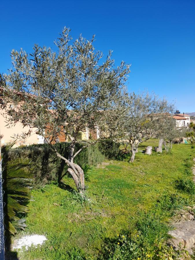 Agriturismo La Stragola Nicosia Exterior photo
